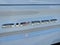 2025 GMC Sierra 1500 4WD Crew Cab Short Box SLT